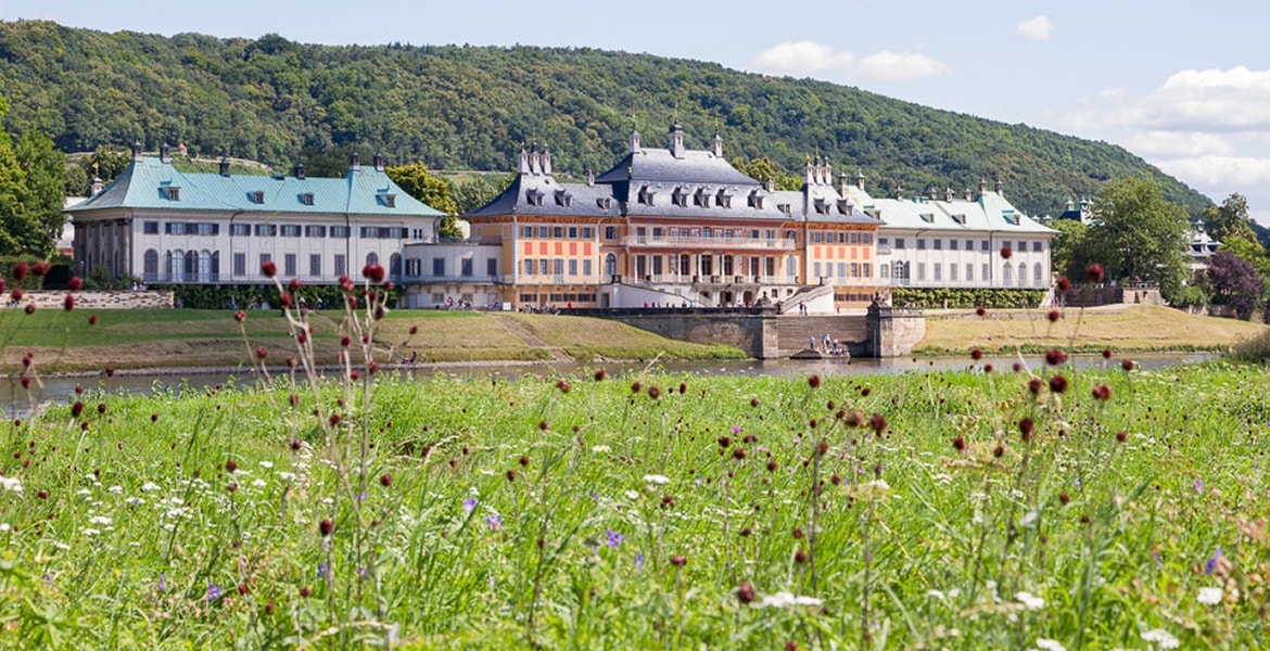 Schloss & Park Pillnitz - Ausflugsziel